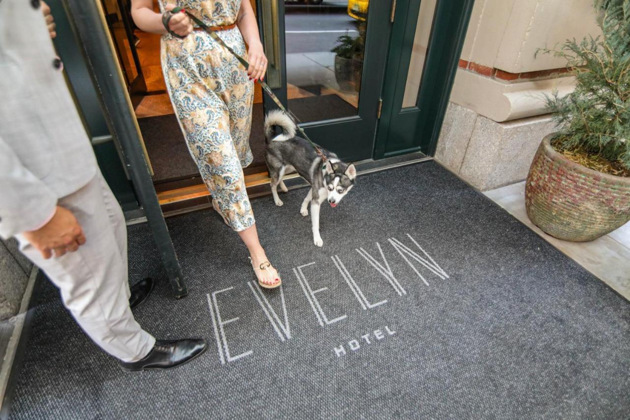 Hotel The Evelyn Nomad Nueva York Exterior foto Entrance to the hotel