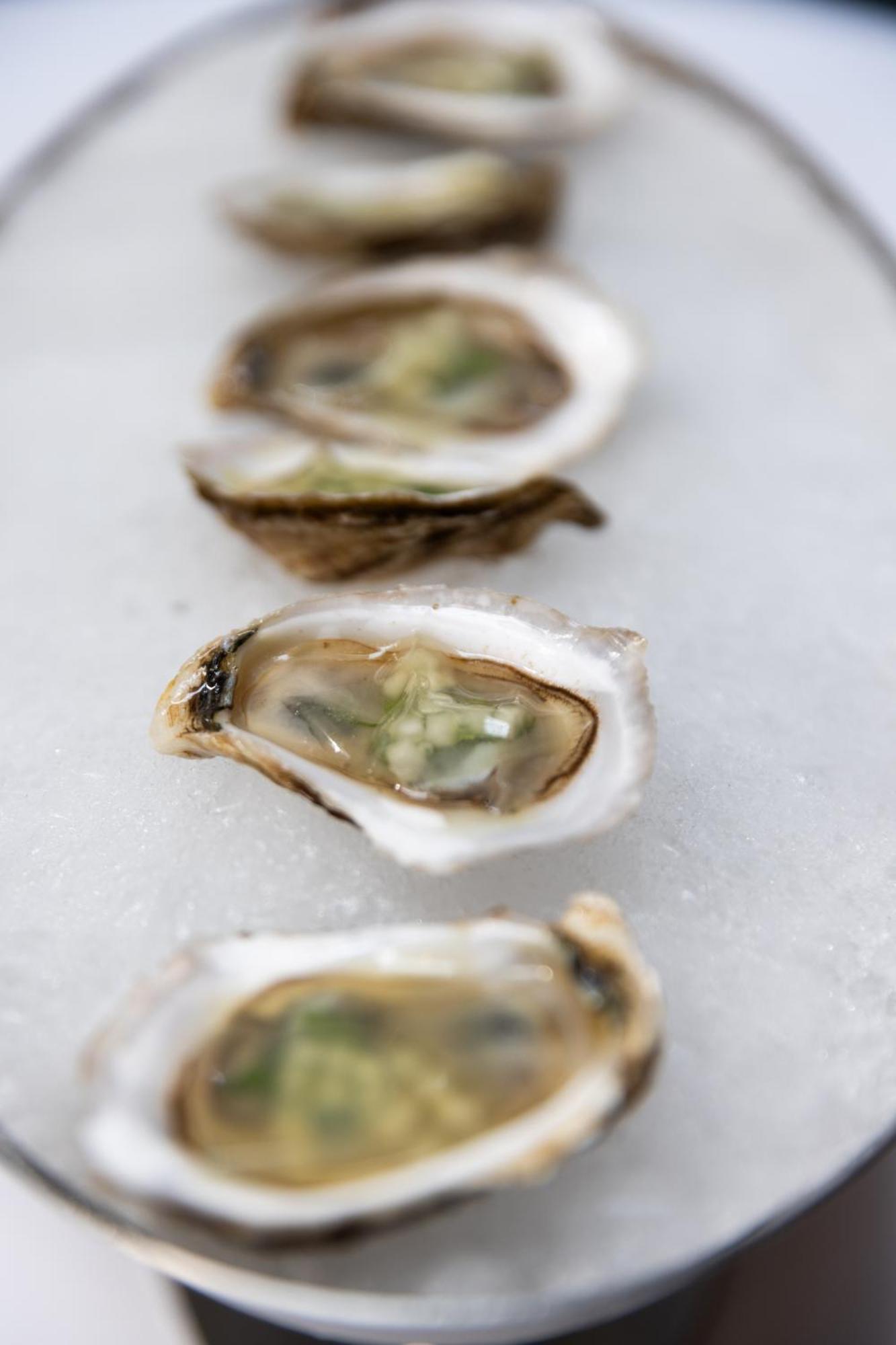 Hotel The Evelyn Nomad Nueva York Exterior foto Oysters